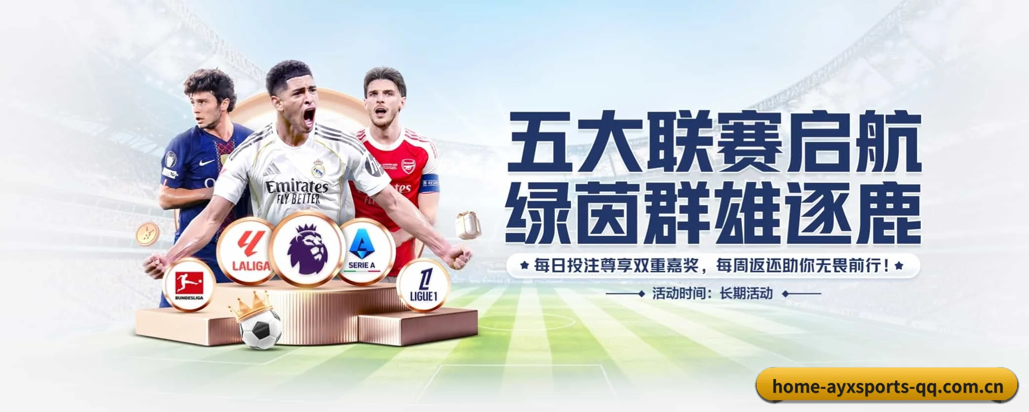 各版块垂直深入,完美契合不同运动项目偏好 - ayxsports